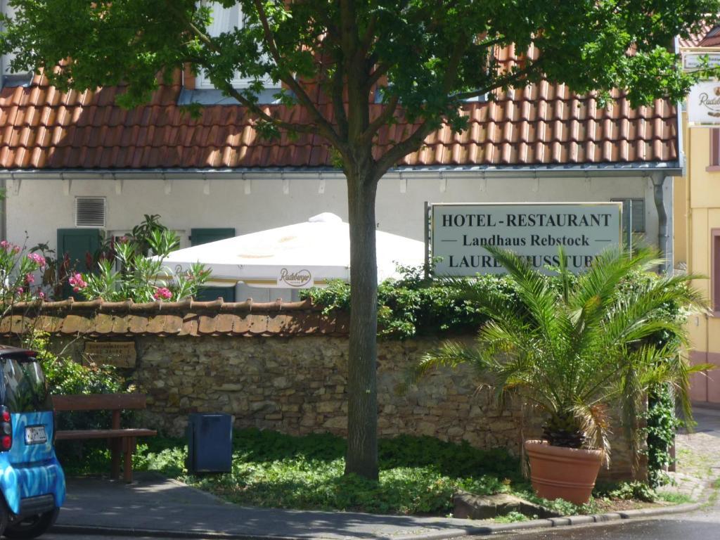 Landhaus Rebstock Worms Exterior photo